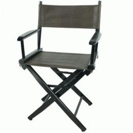 Director Chair
